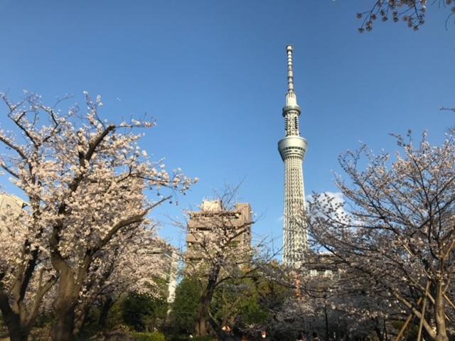 Sky Tree Inn Токіо Екстер'єр фото