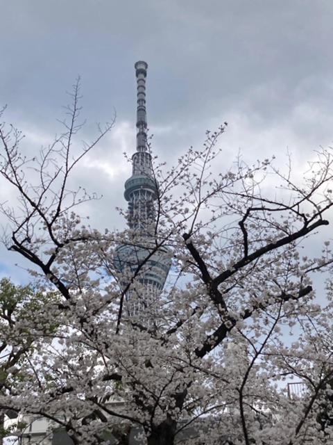Sky Tree Inn Токіо Екстер'єр фото